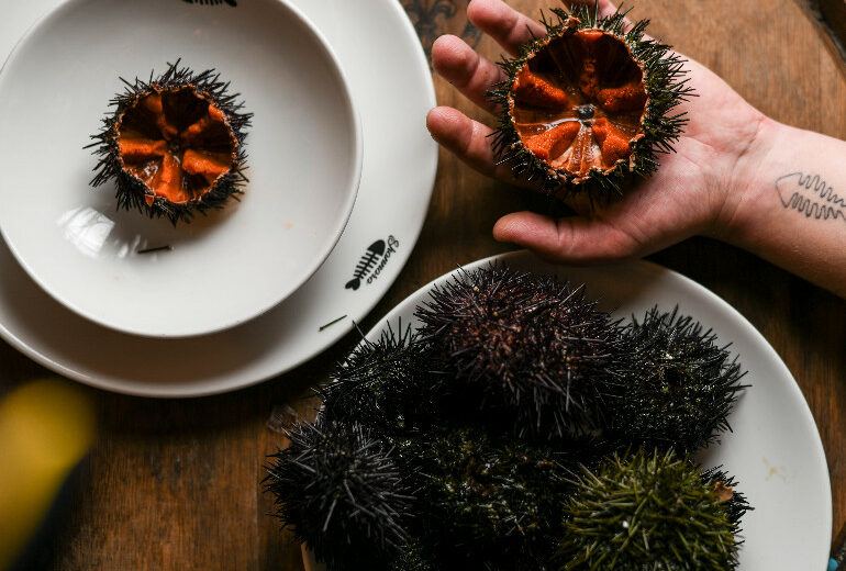 Non solo sushi, i migliori ristoranti di pesce a Milano dove mangiare (anche) crudo