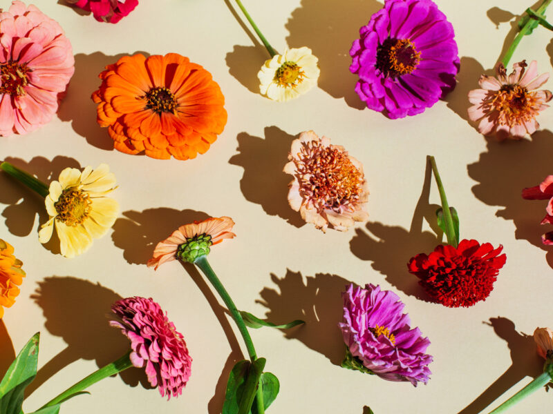 GettyImages-fiori-significato