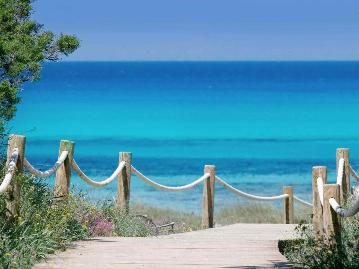 Cavall-den-Borras-formentera-4