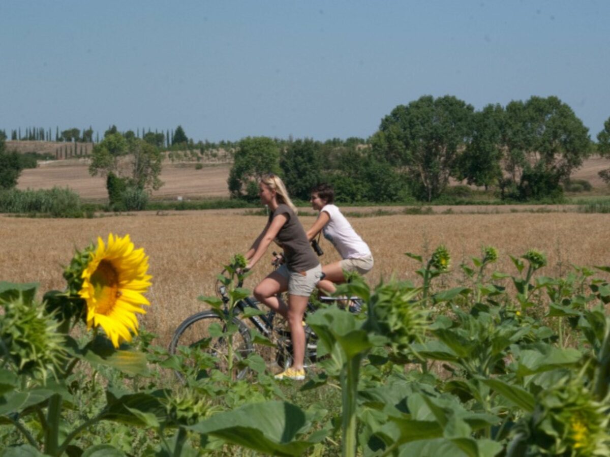 campagna toscana Archivio Toscana Promozione Turistica