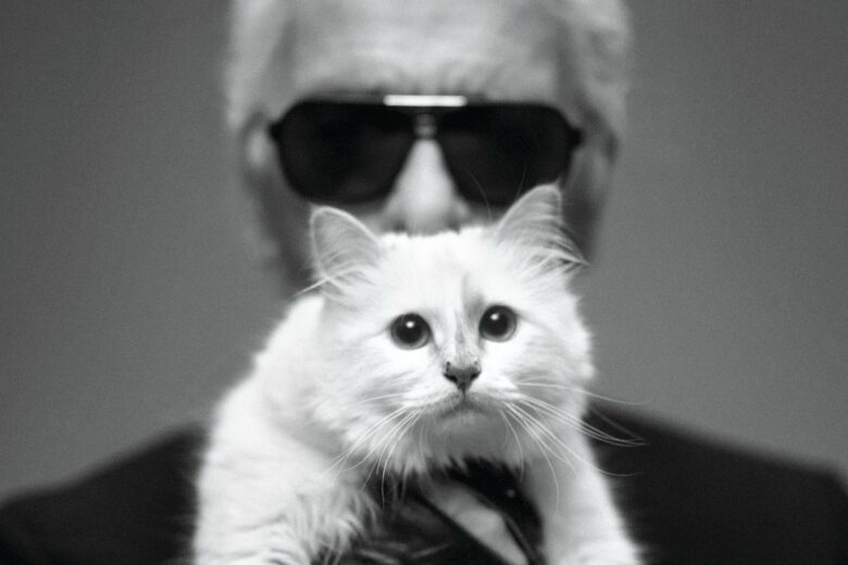 Il red carpet del Met Gala 2023 raccontato da Choupette, la gatta di Karl Lagerfeld