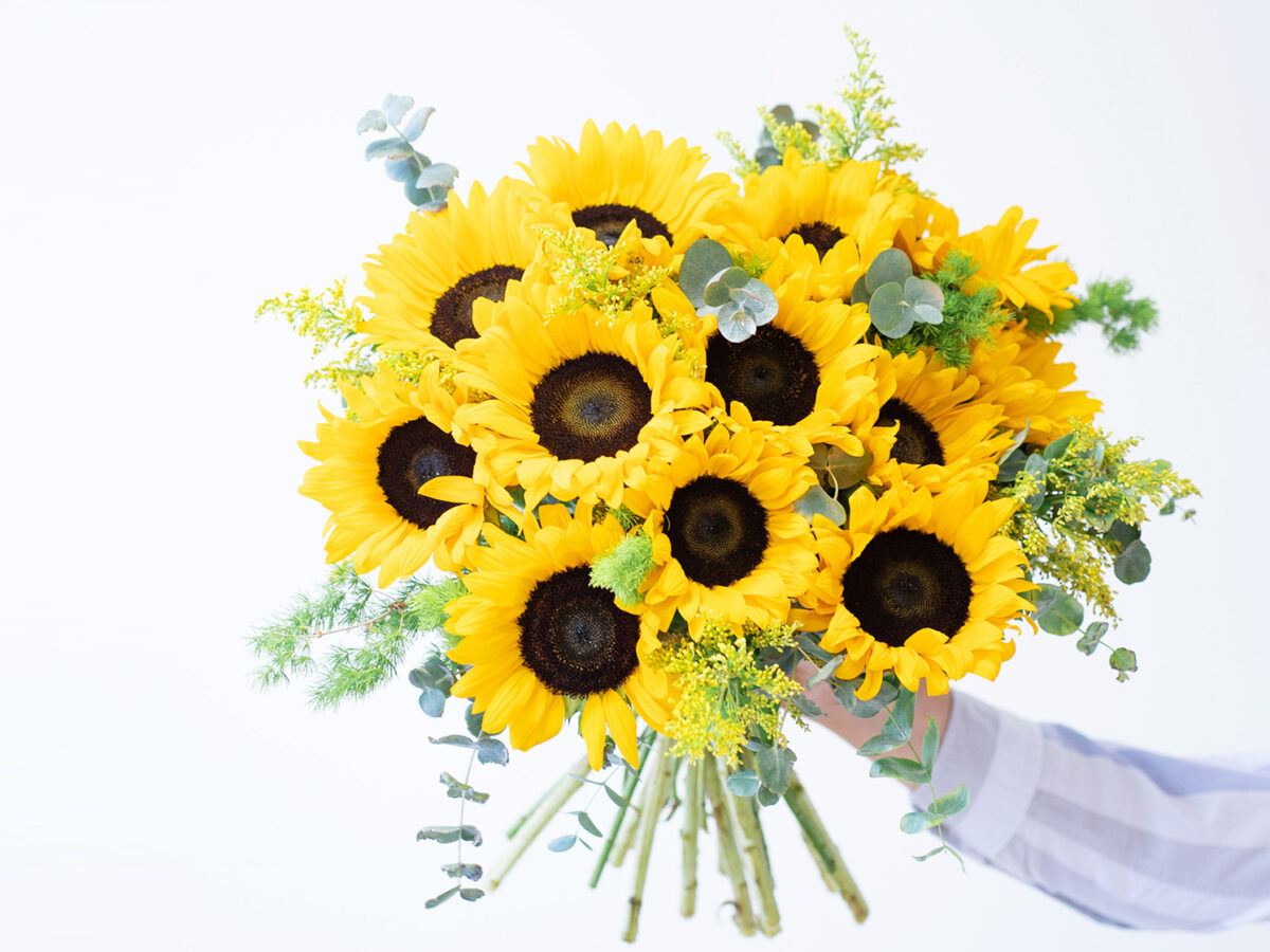 girasoli significato fiori