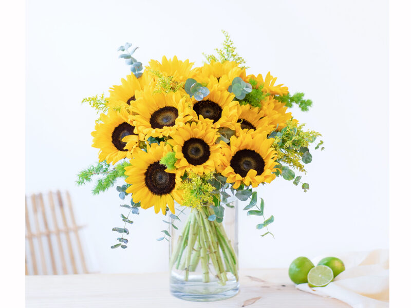 significato regalare girasoli