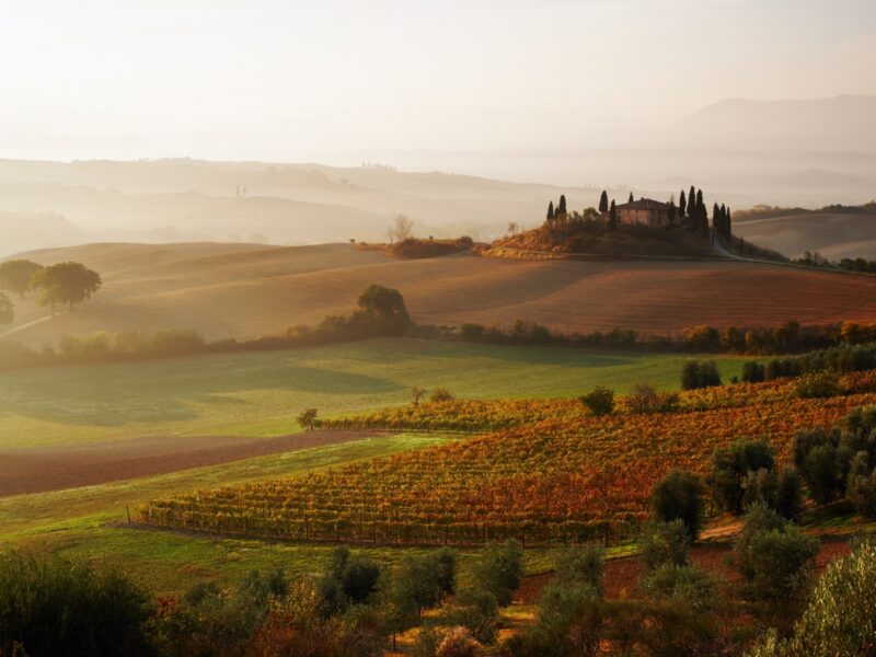 GettyImages-vigneti weekend vino
