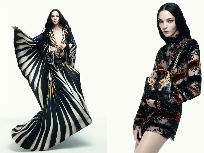 roberto-cavalli