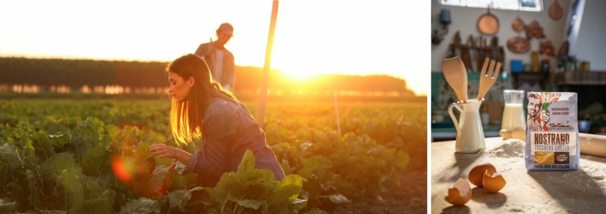 Italia Zuccheri HERO Desk