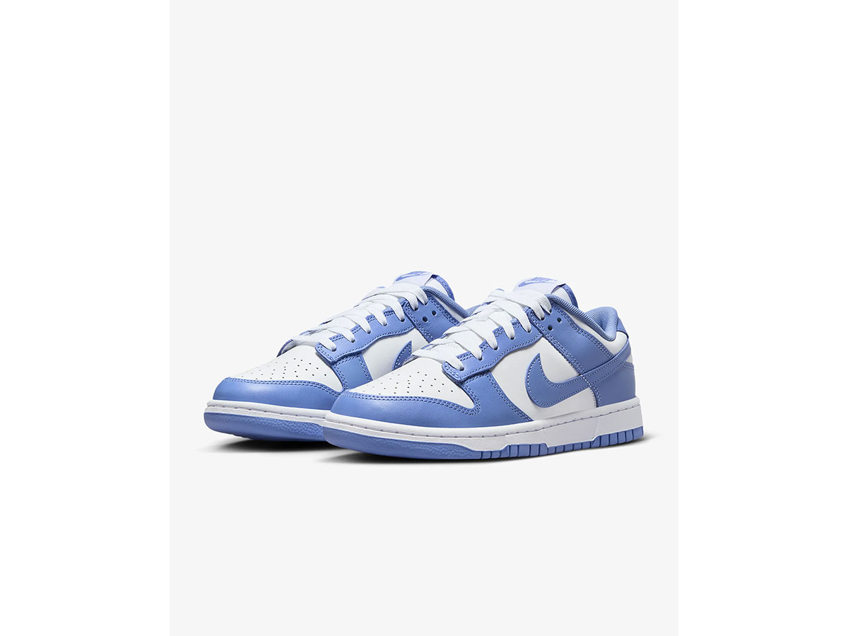 DunkLowRetro- nike