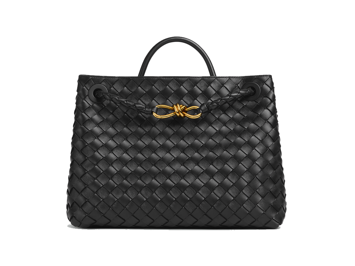 borsa-andiamo-bottega-veneta