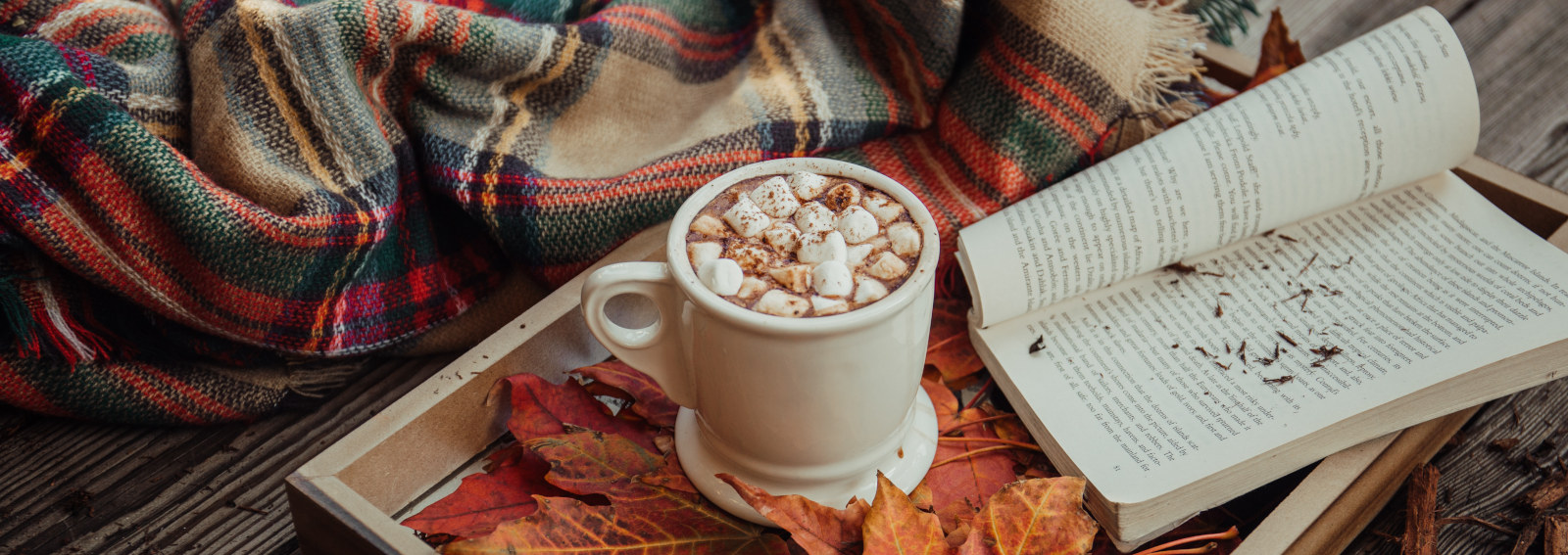 visore-libri-novembreDESK