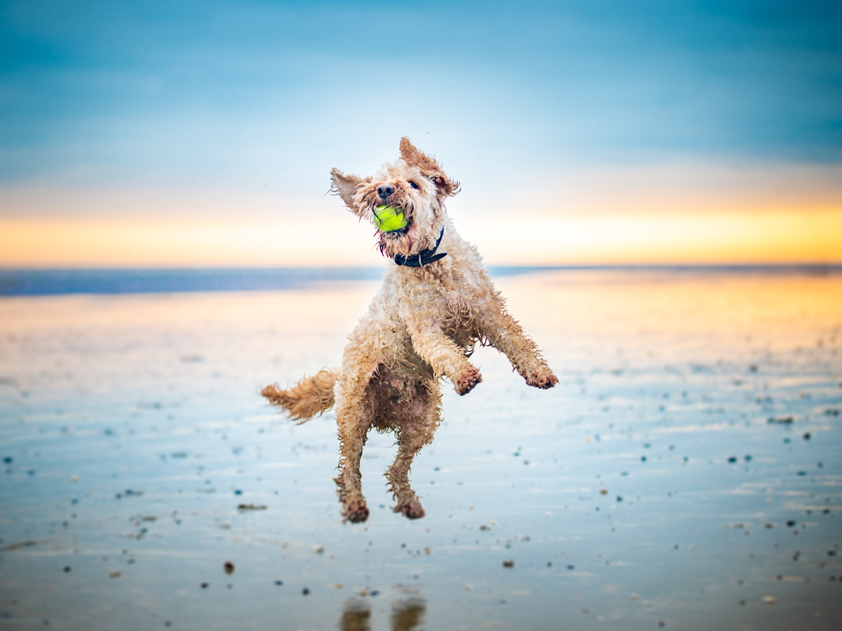 GettyImages-come-fare-belle-foto-col-cellulare