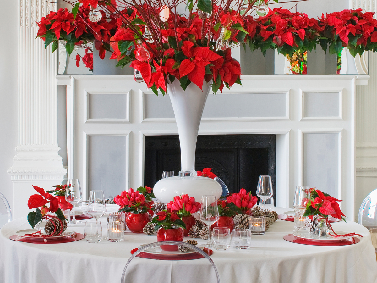 GettyImages-stella-di-natale-come-apparecchiare-la-tavola