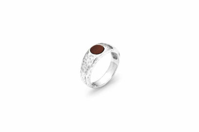 Giovanni-Raspini-per-lui