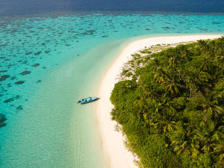 MALDIVE