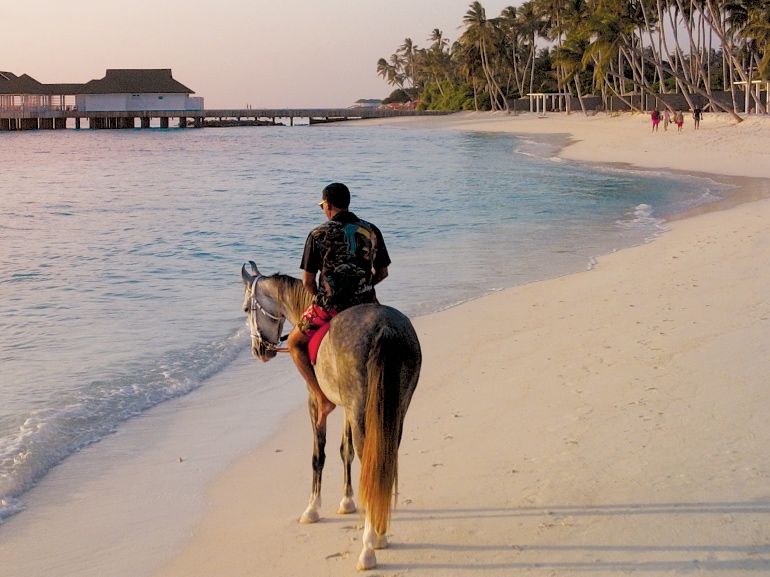 Maldive Cavallo, Jasmine