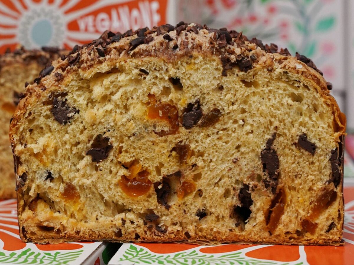 Panettone artigianale Vegano con albicocche Forno Brisa