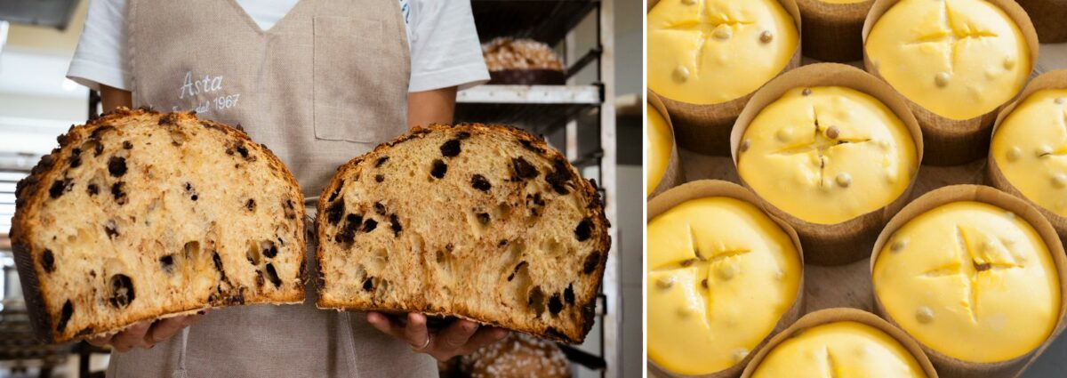 Panettone artigianale natela 2023 DESK