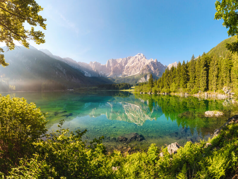 Colad 1.4l Solventi Anti Miscela Coppe - 25 Coppe Forti 5 - Foto 6