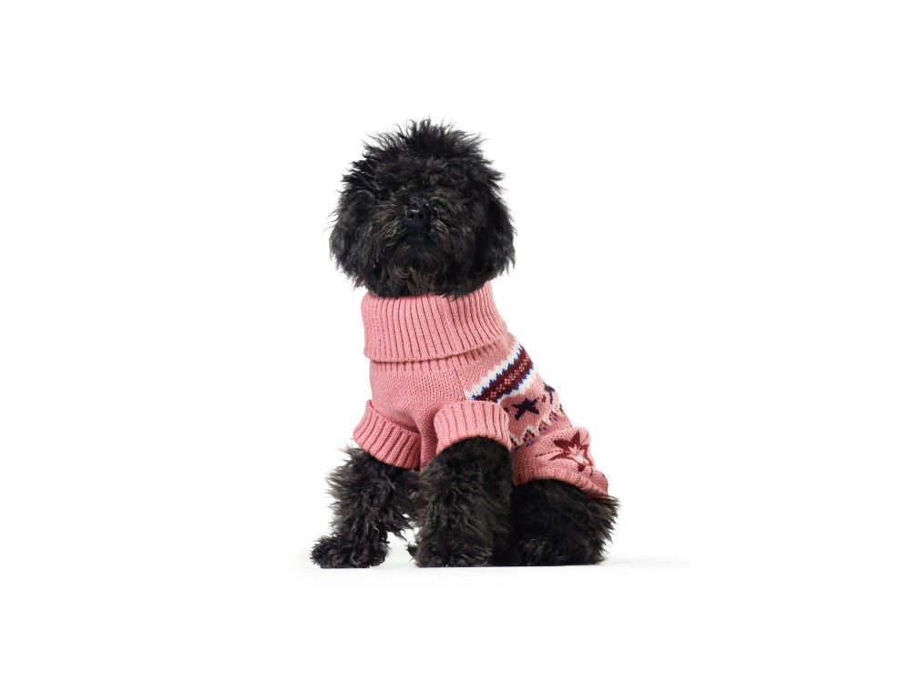 ok BARBONCINO_maglia_JACQUARD_ROSA