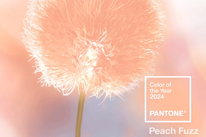 Peach Fuzz: è questo il colore Pantone 2024!