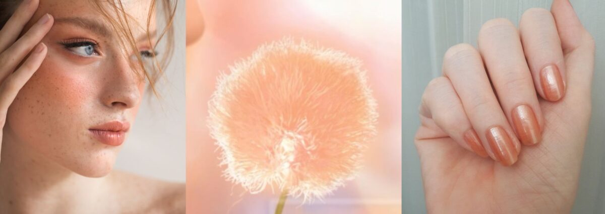 cover peach fuzz pantone 2024