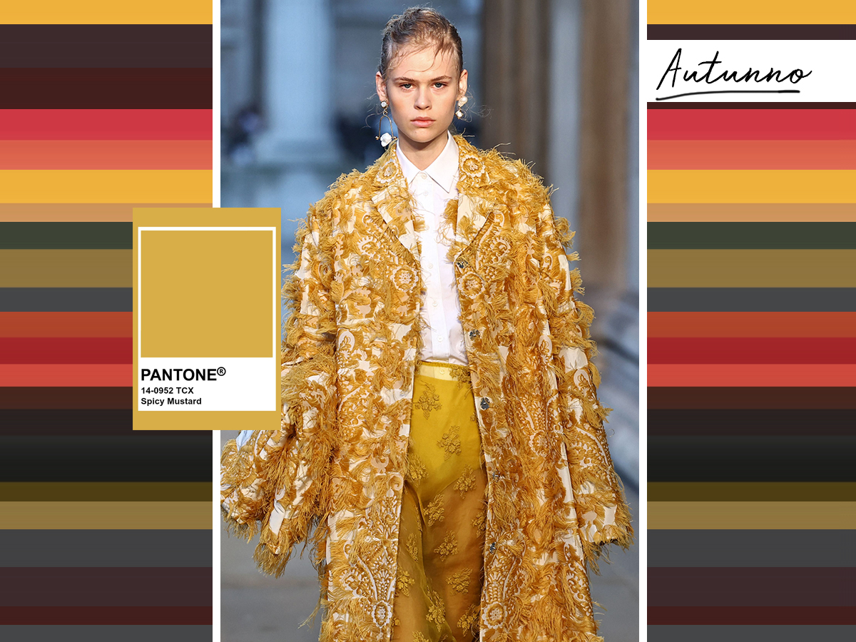 AUTUNNO_mustard_ARMOCROMIA_PANTONE