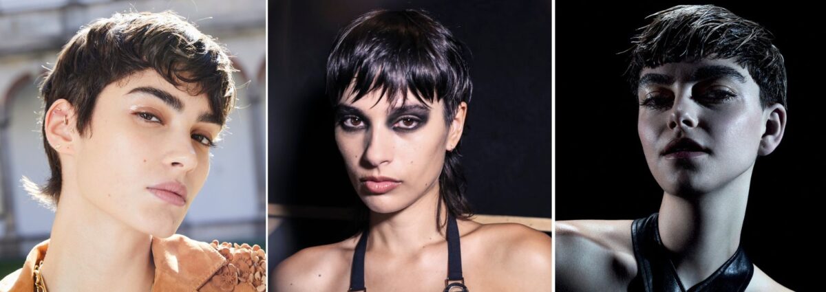 cover pixie cut 2024