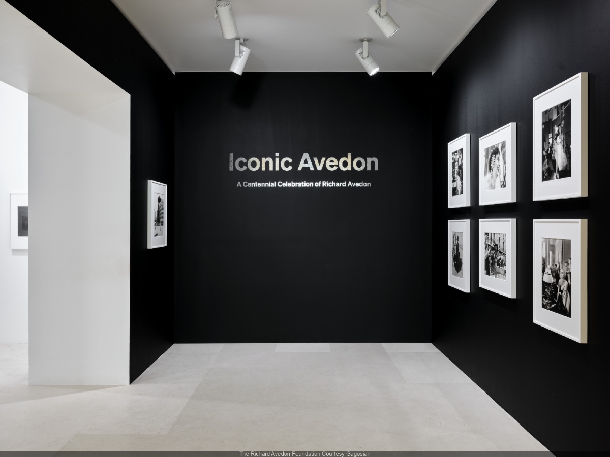 avedon