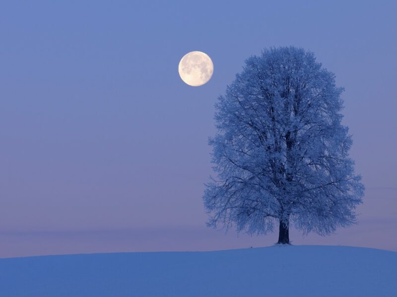 luna piena