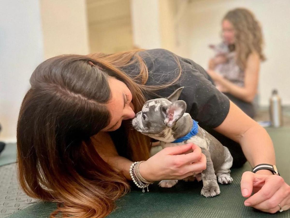 puppy yoga