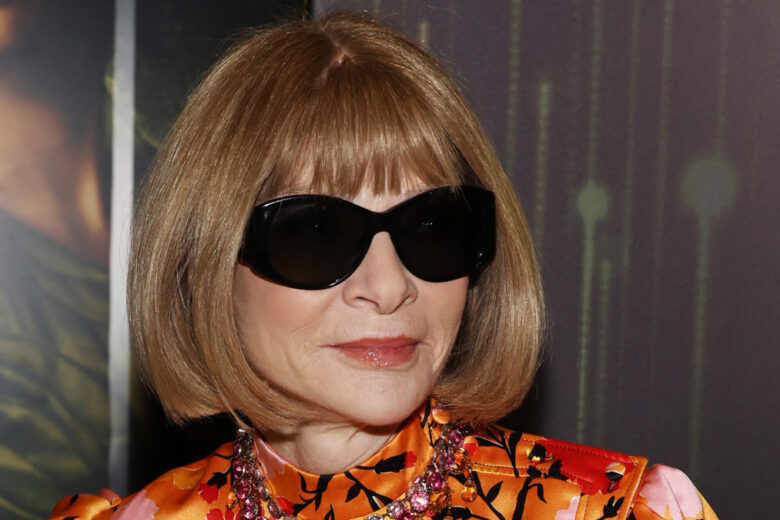 Anna Wintour nella bufera per il Met Gala (c’entra TikTok)