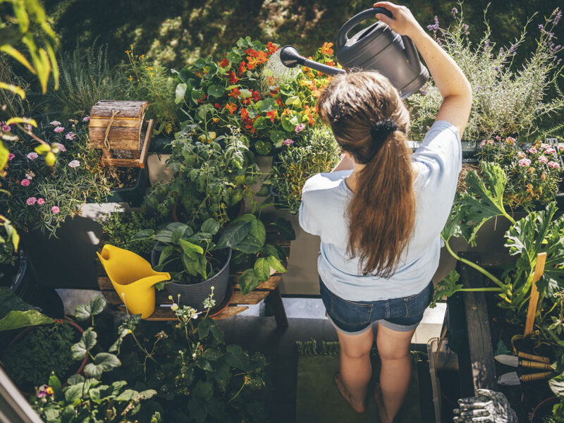 Woman watering plants in balcony