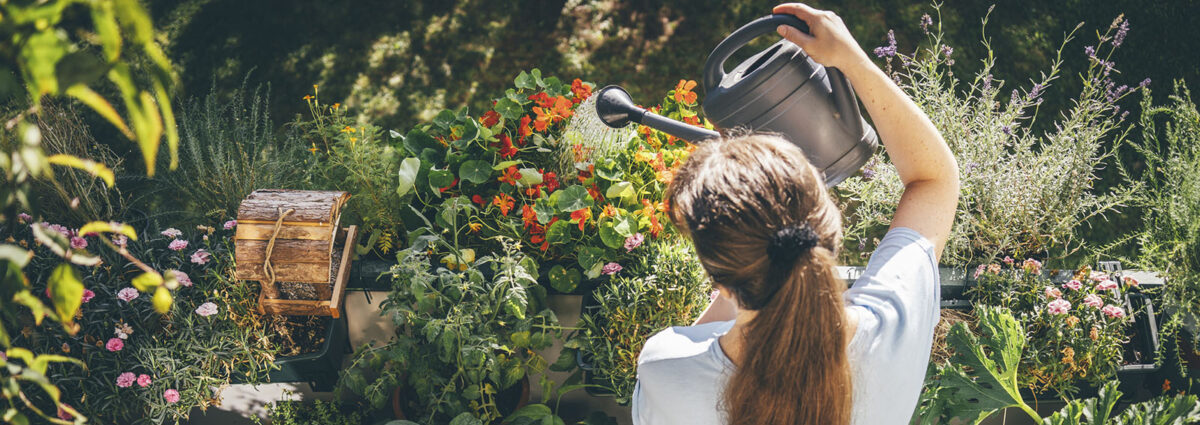 Woman watering plants in balcony