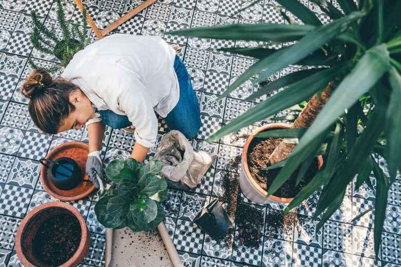 Le piante migliori per rendere accogliente il balcone