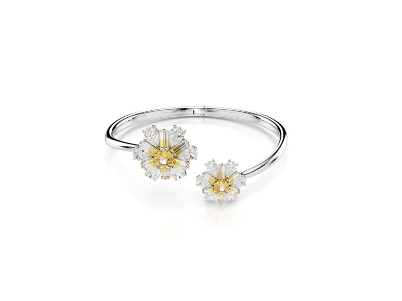 Swarovski_ok