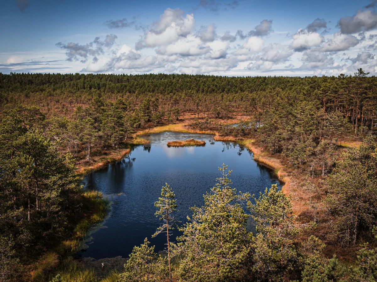 lahemaa national park