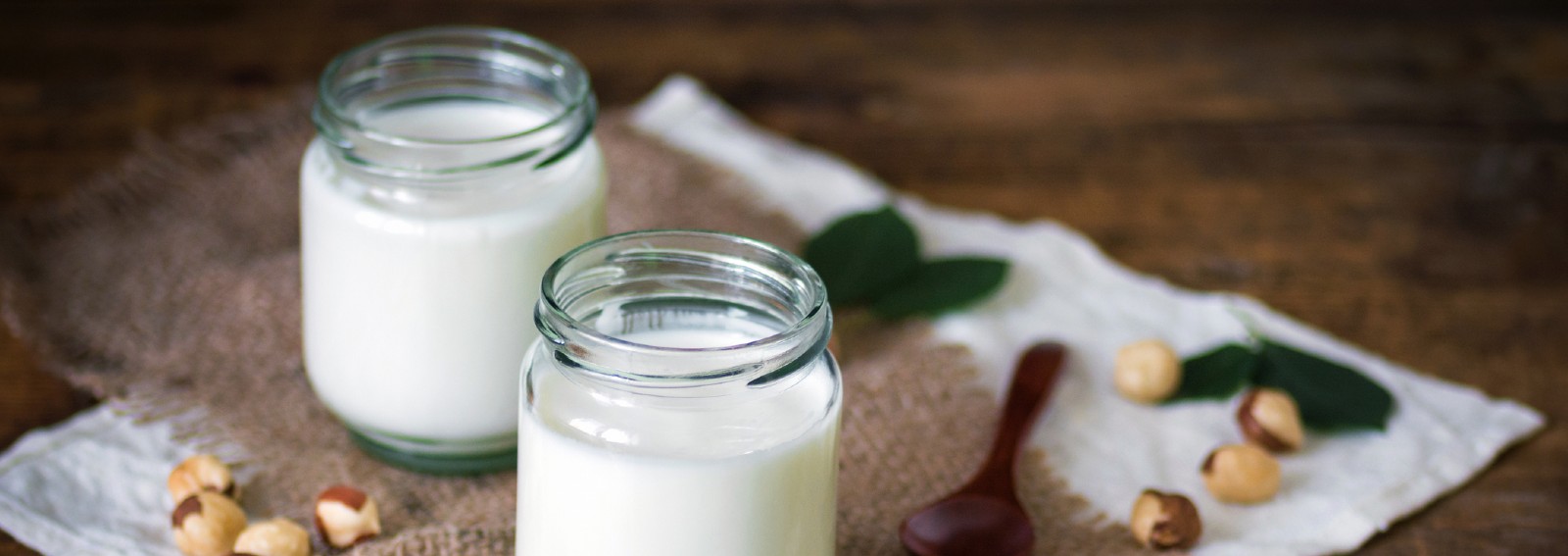yogurt hero
