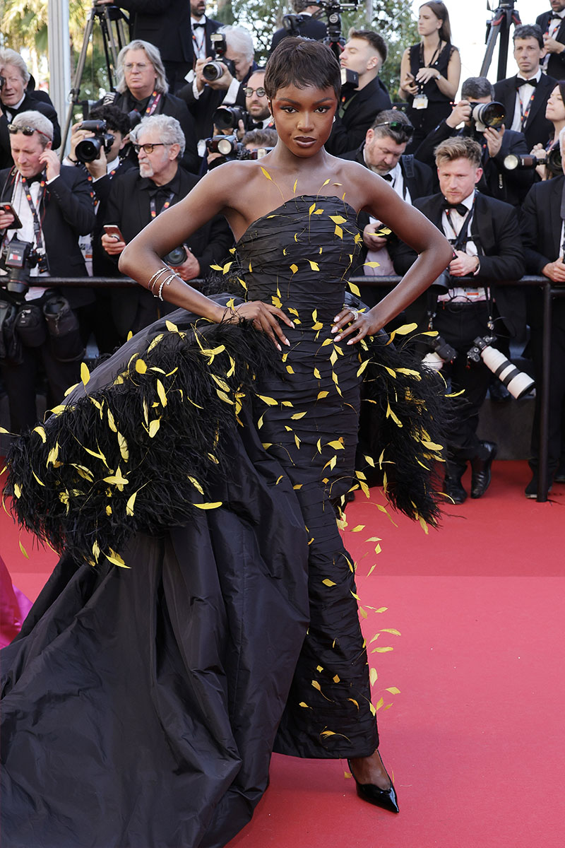 Leomie anderson
