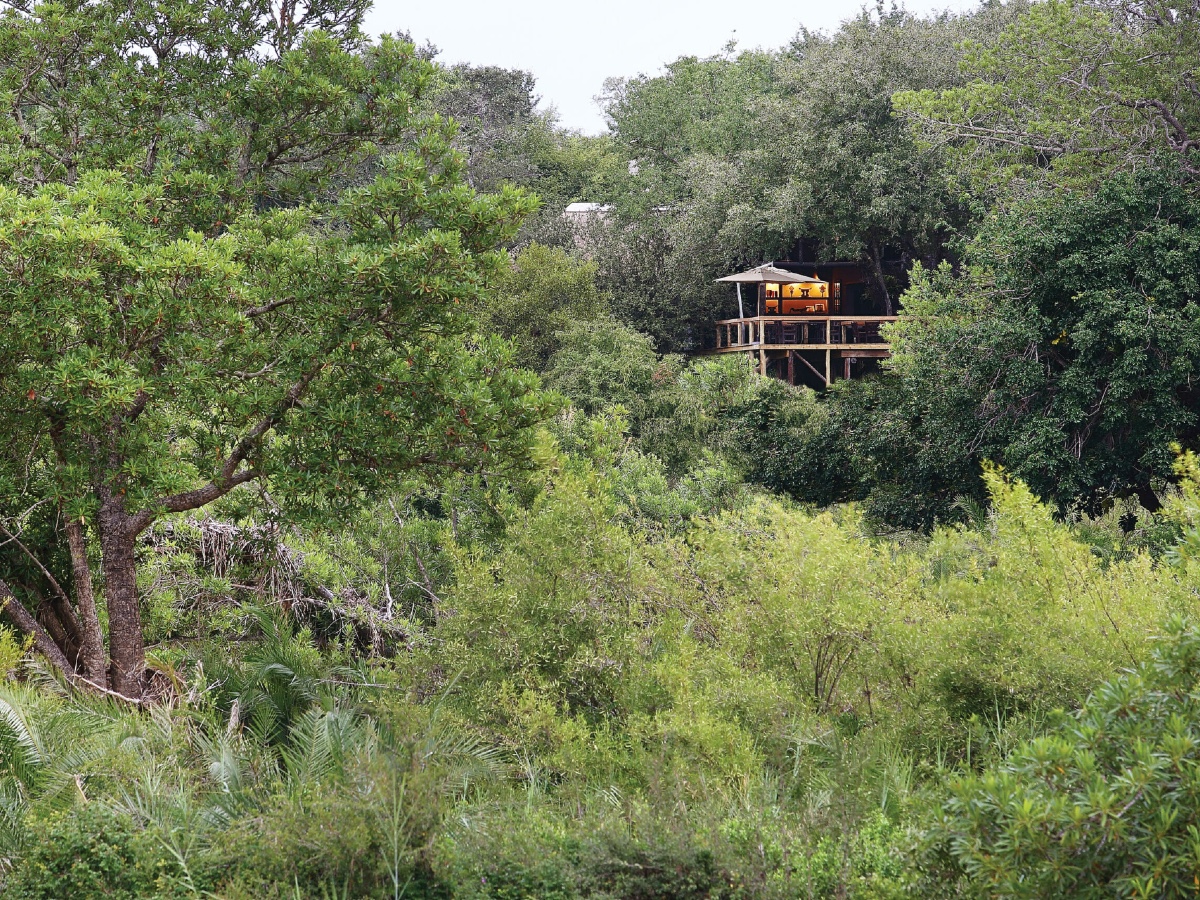 Londolozi Game Reserve