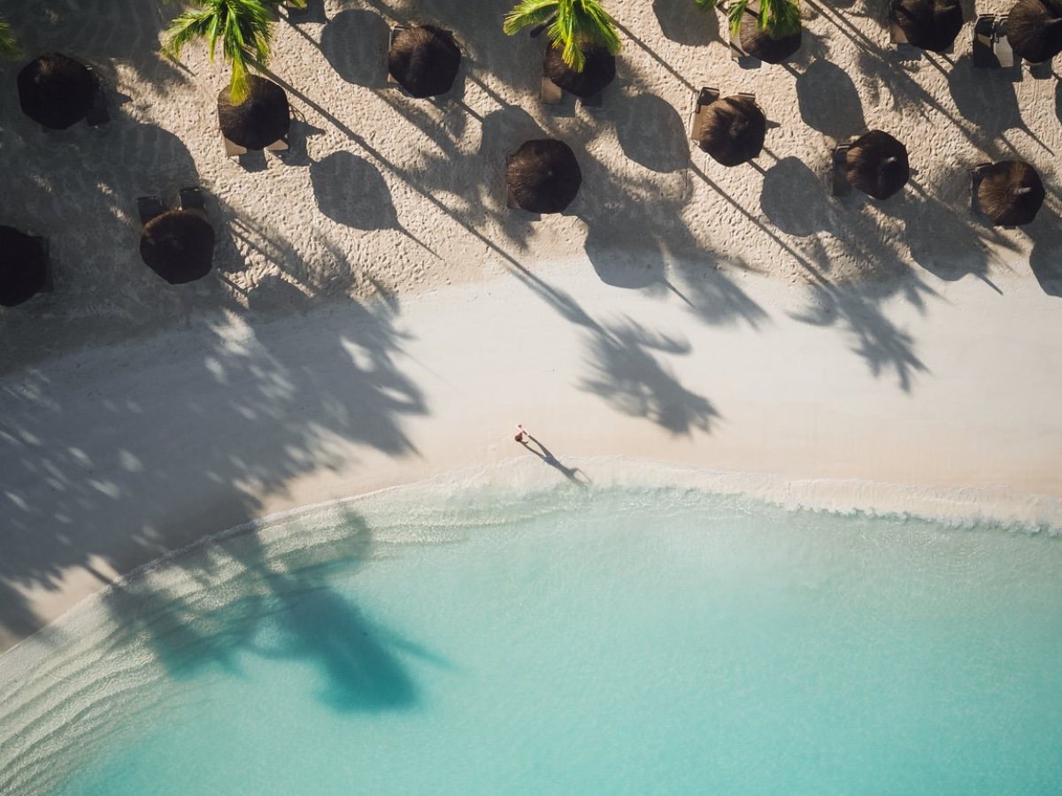 Royal Palm Beachcomber