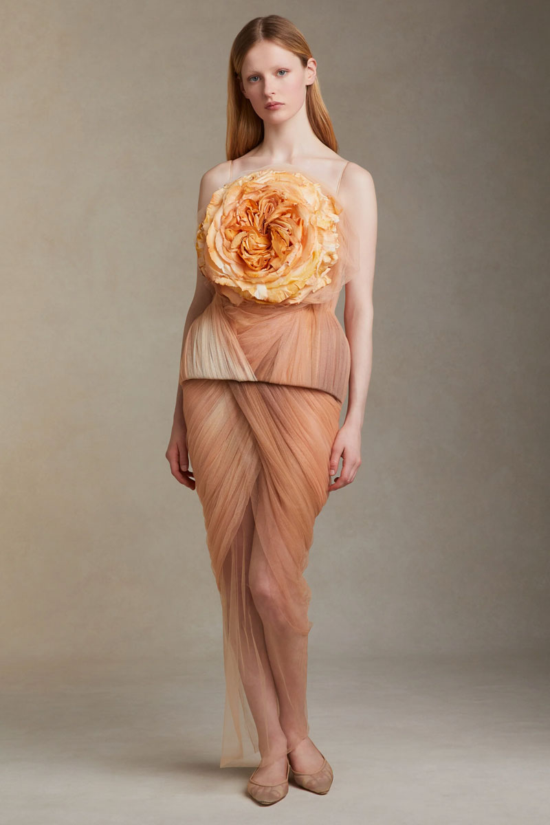 danielle-frankel-studio-2024