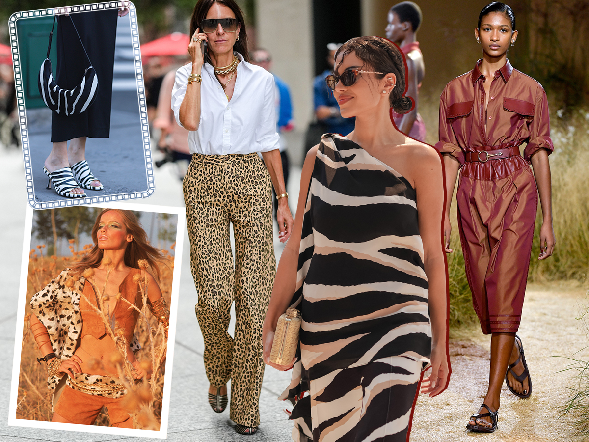 03_LOOK_SAFARI