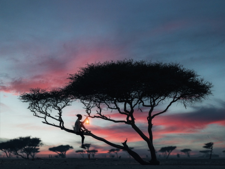 Deserto The Red Sea_nature (1)-2