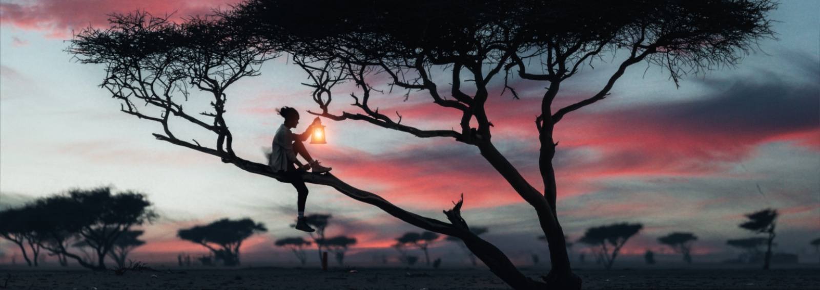 Deserto The Red Sea_nature (1)