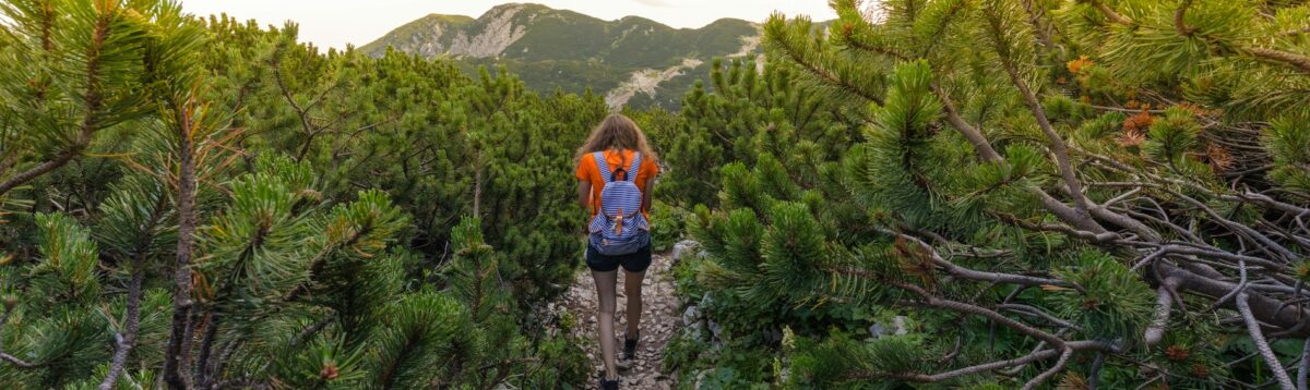 foto hero grande montagna