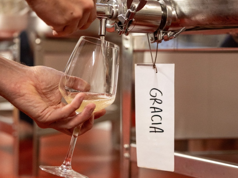 kombucha spillatrice