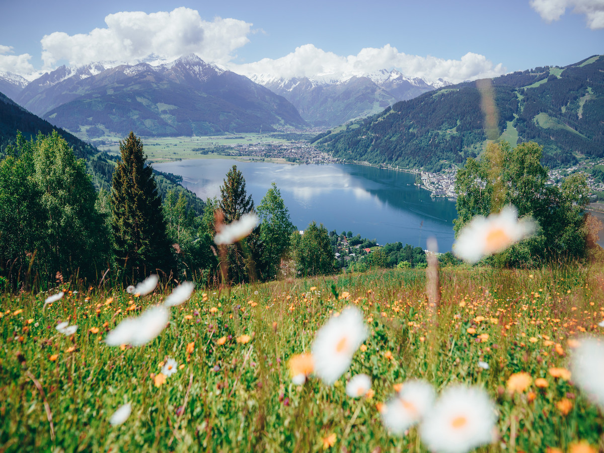 Zell am See Panorama