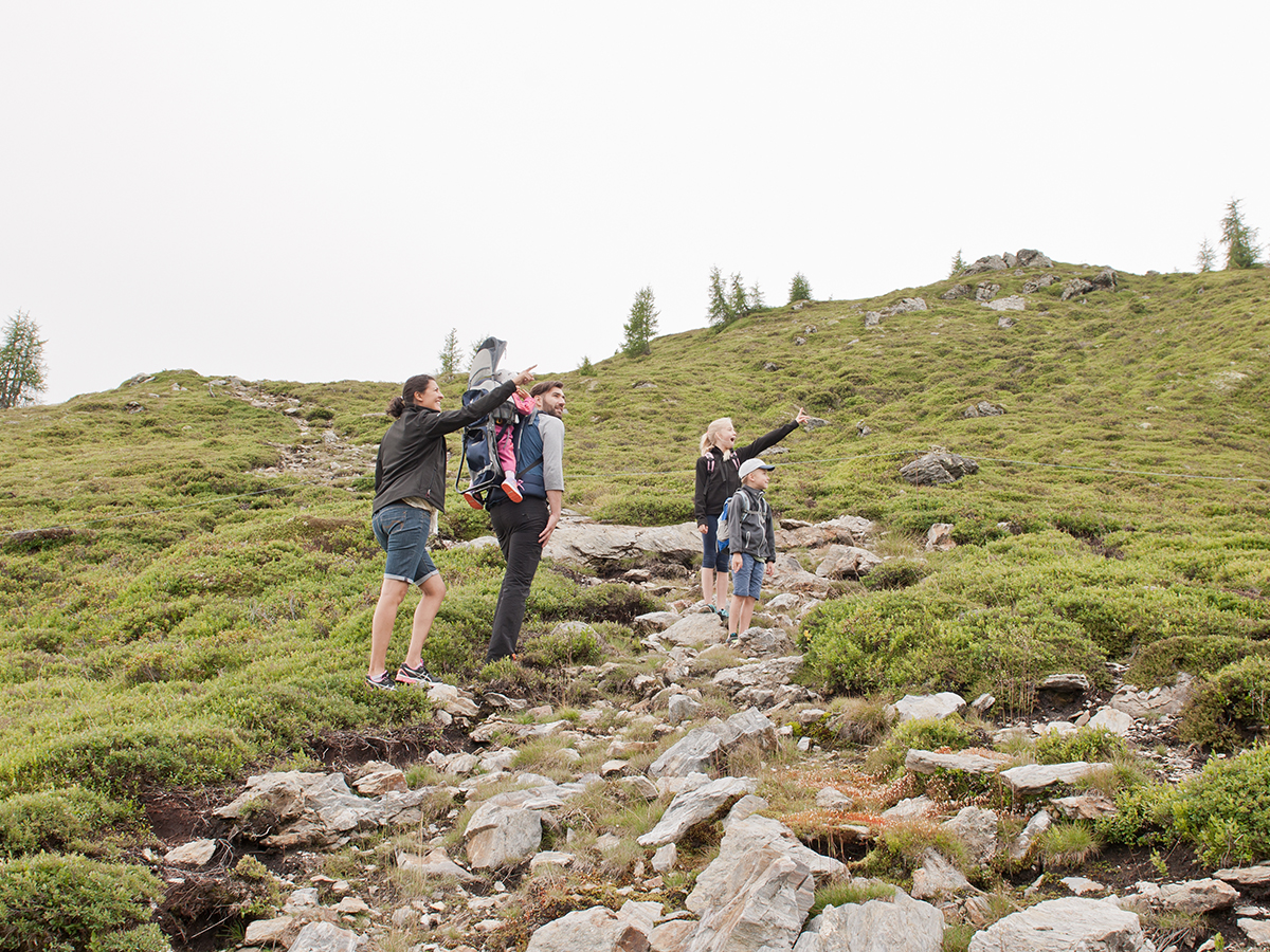 Familie Weg zeigen copia