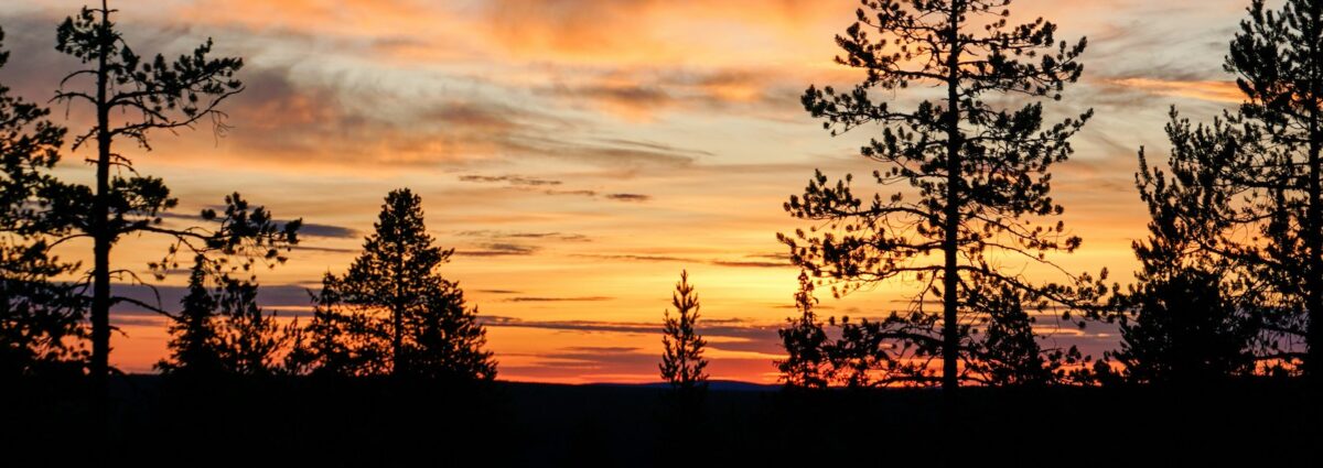 sole di mezzanotte foto hero grande