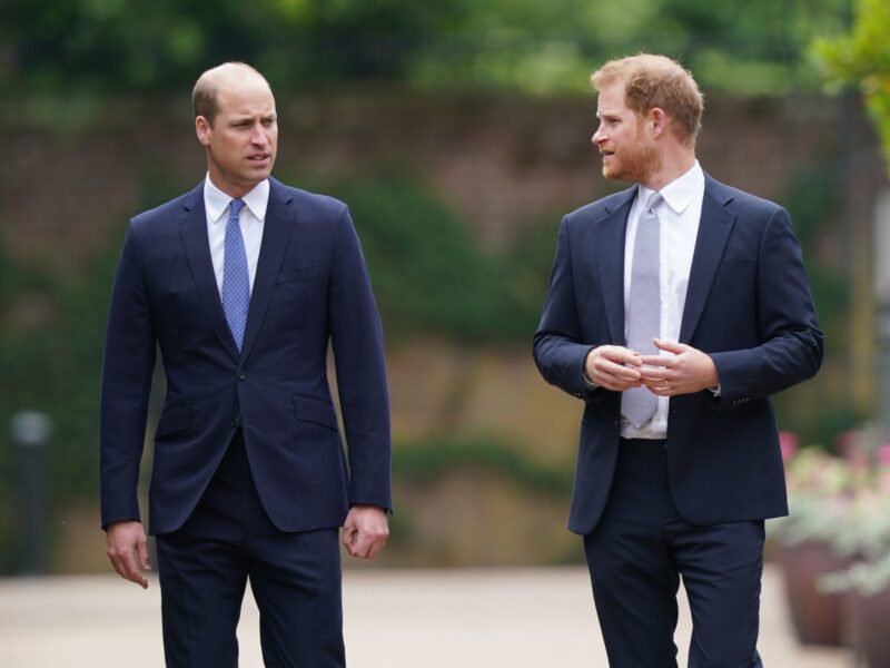 william harry hero