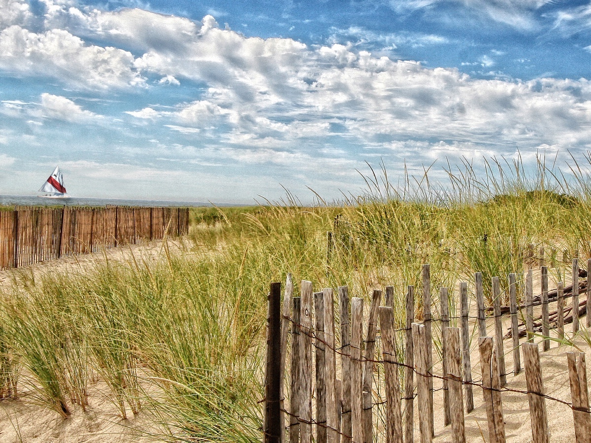 GettyImages-513457261